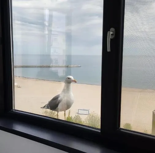 Amie Seaside Daire *